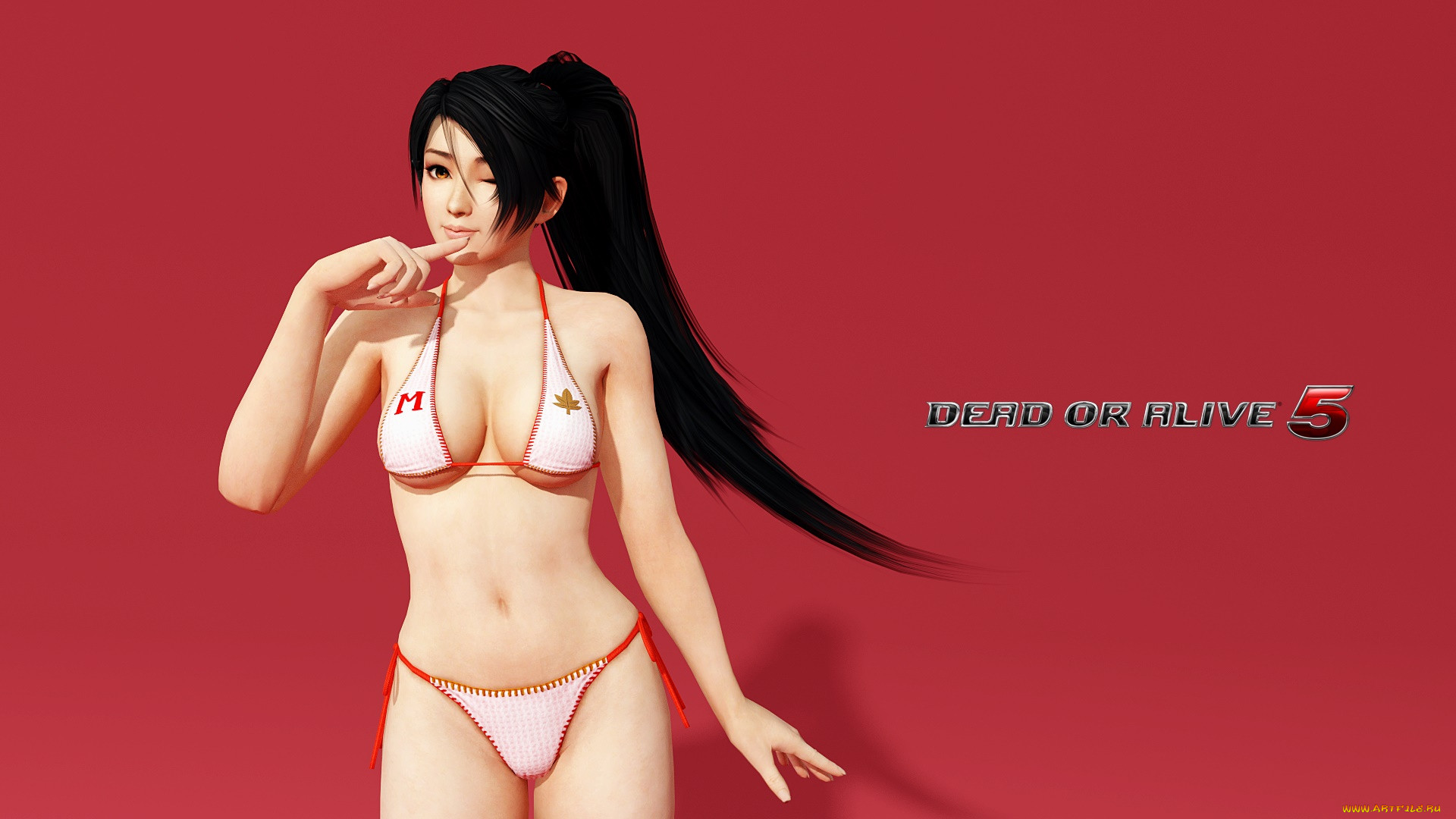  , dead or alive 5, , , 
